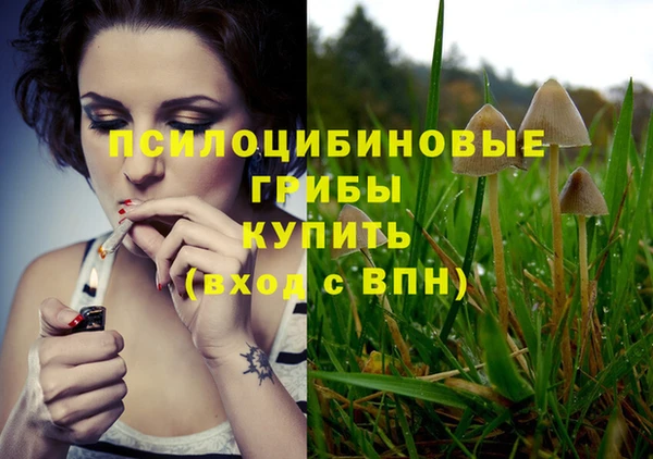спиды Алзамай