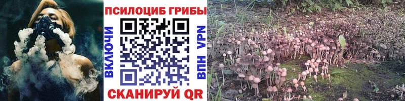 ОМГ ОМГ ONION  где купить   Кирсанов  Псилоцибиновые грибы MAGIC MUSHROOMS 