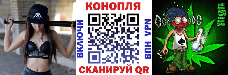 Бошки марихуана индика  Кирсанов 
